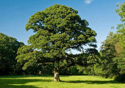 視角：有一種進步叫節約，記維科特利的摳門師傅